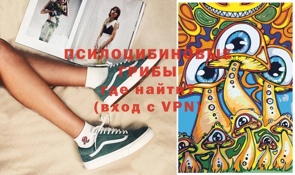 дурь Богданович