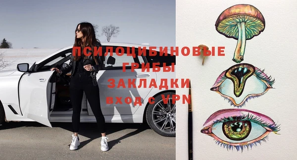 дурь Богданович